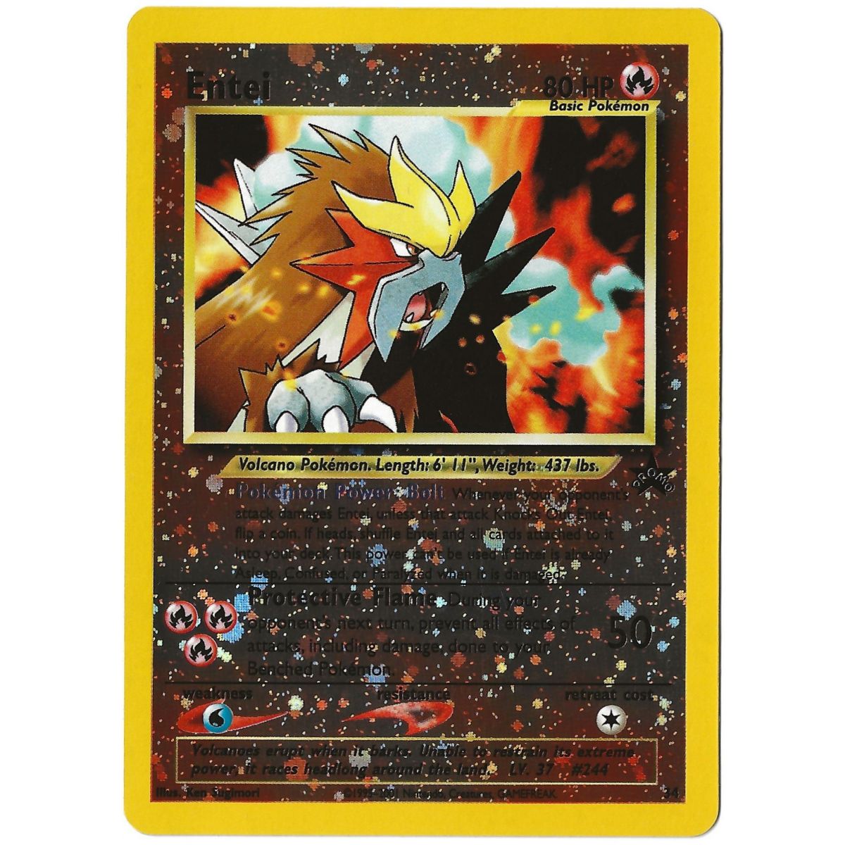 Entei – Reverse Rare – Wizard Black Star Promo 29 – Englisch