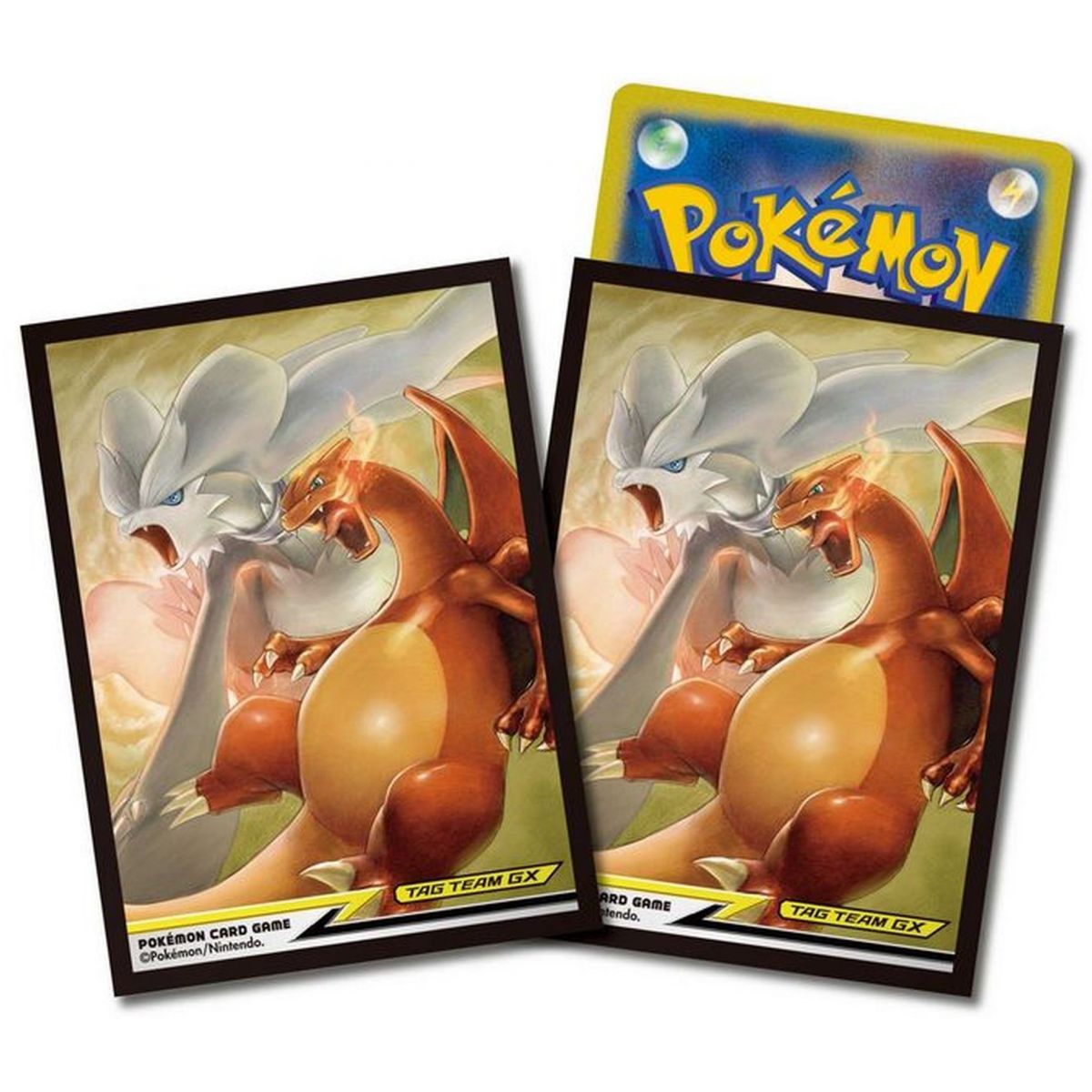 Pokémon Center – Kartenhüllen – Standard – Reshiram und Glurak (64)