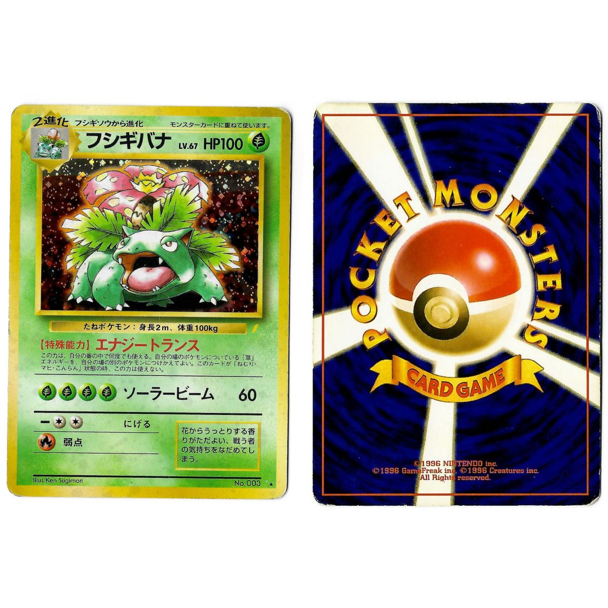 Venusaur (5) Nr. 003 Promo Holo Unlimited Japanisch Siehe Scan