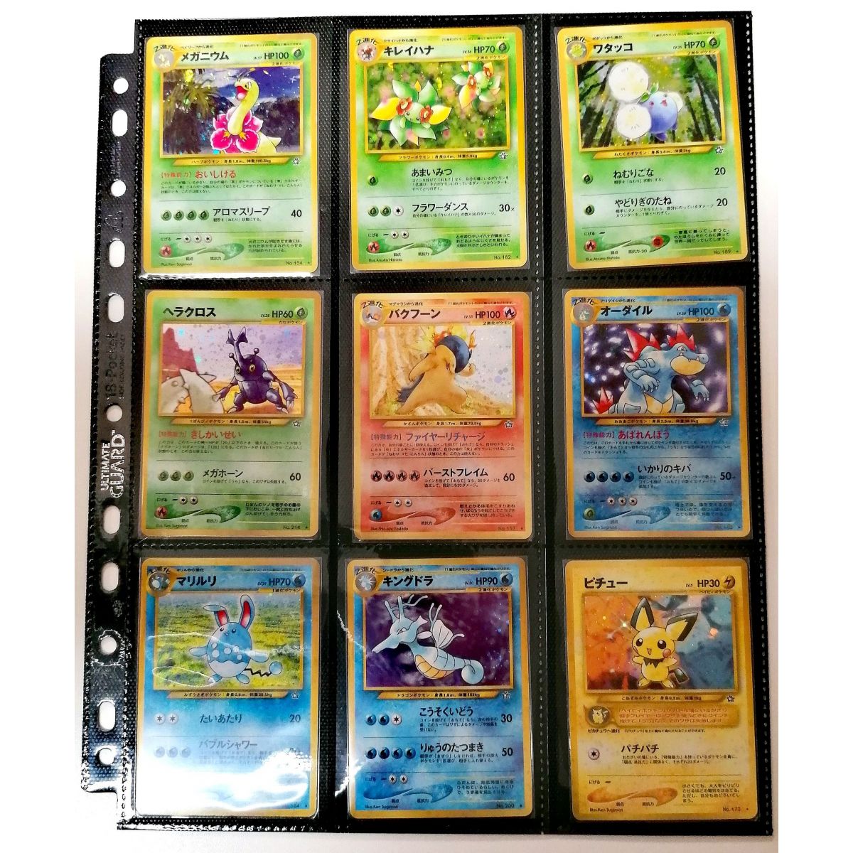 Pokémon – Unvollständige Sammlung – Crossing The Ruins. Holo – 14/20 – Japanisch