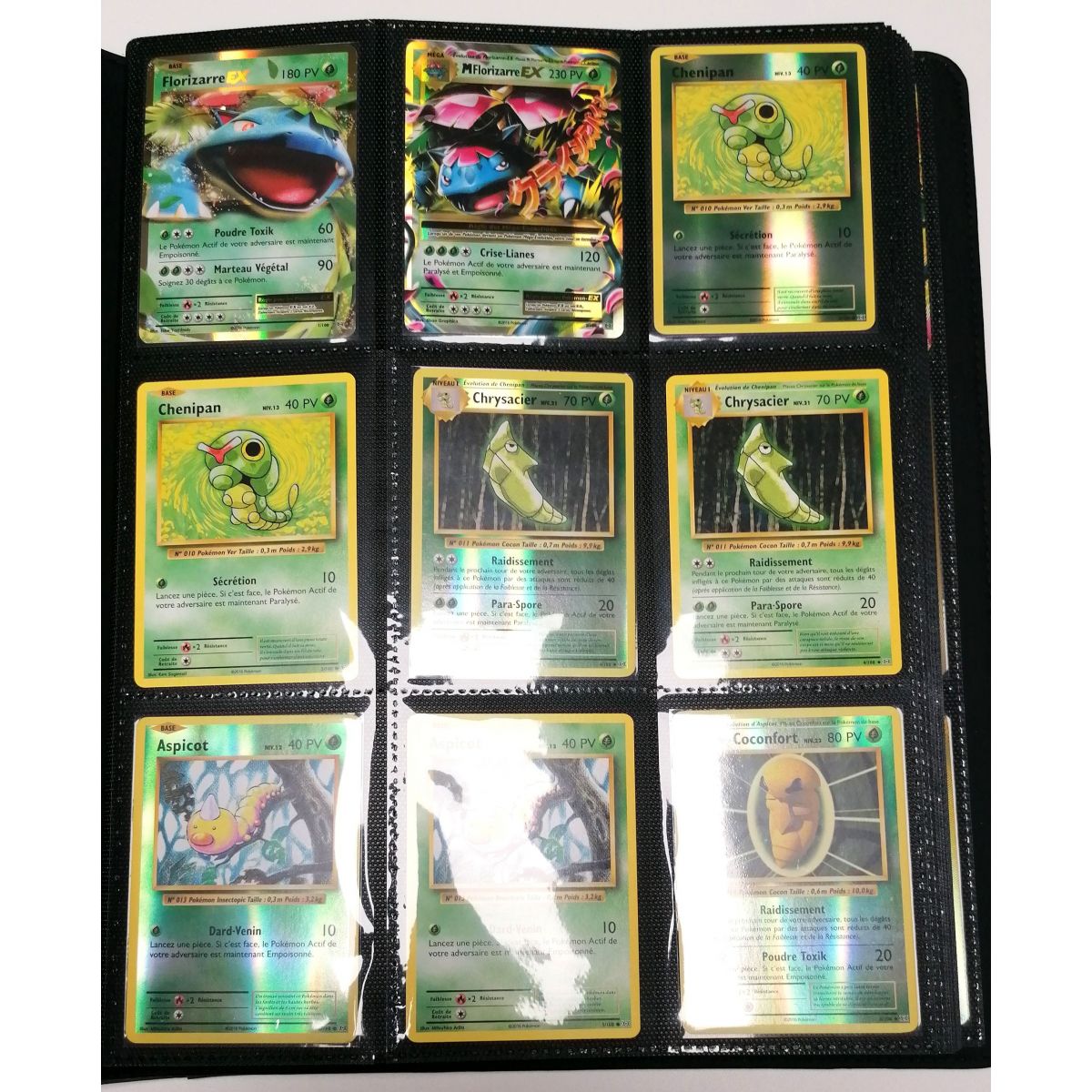 Pokémon – Master Set Complete Collection – XY Evolution – 113/108 + Rückseite – Französisch
