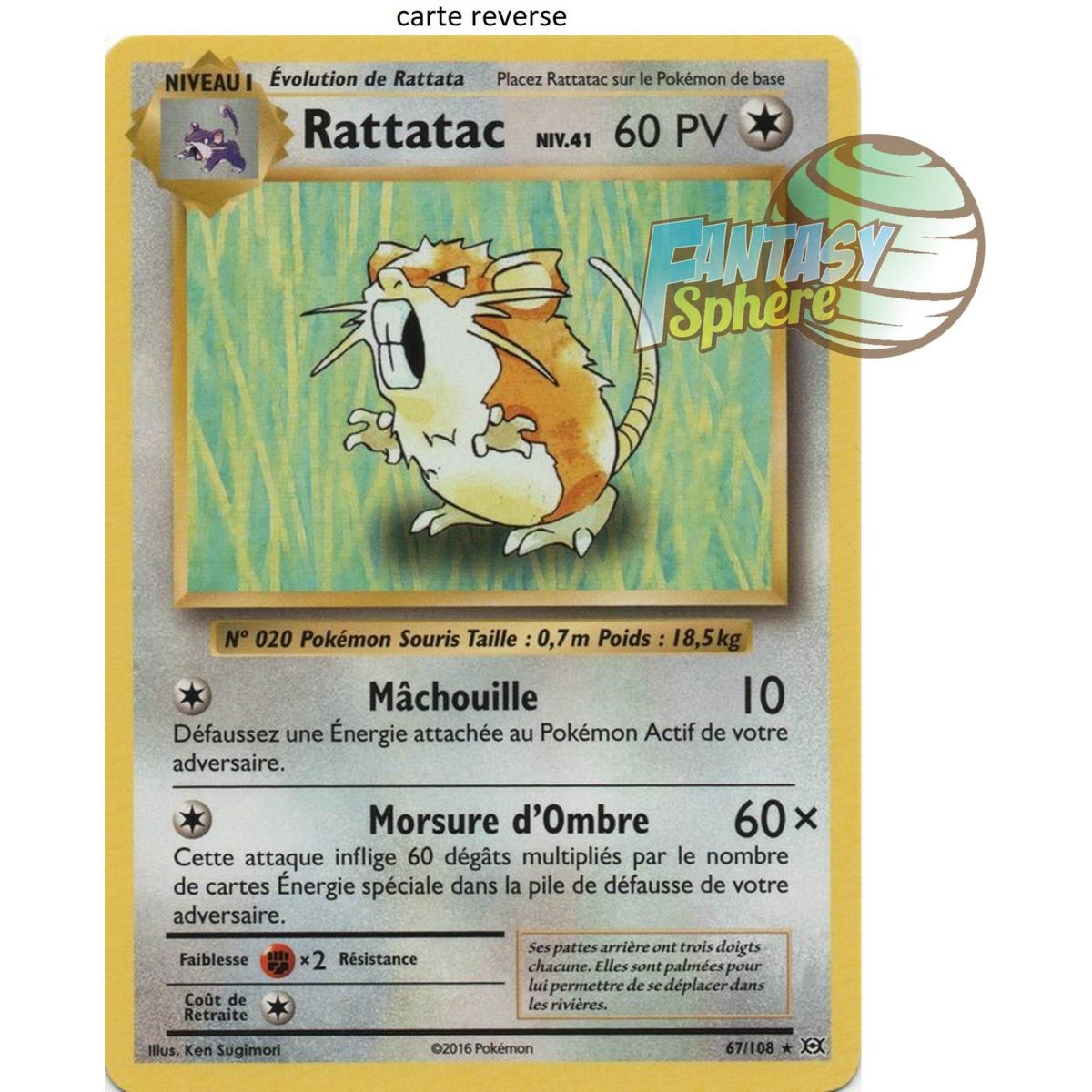 Rattatac - Reverse 67/108 - XY 12 Evolutionen
