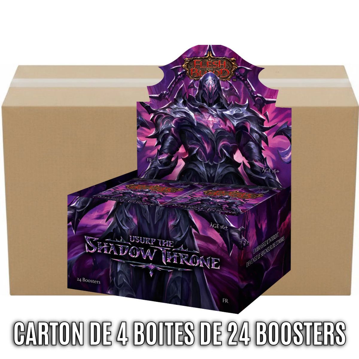 Box mit 4 Boostern, Box mit 24 Boostern – Usurp the Shadow Throne – Flesh & Blood – FAB – FR
