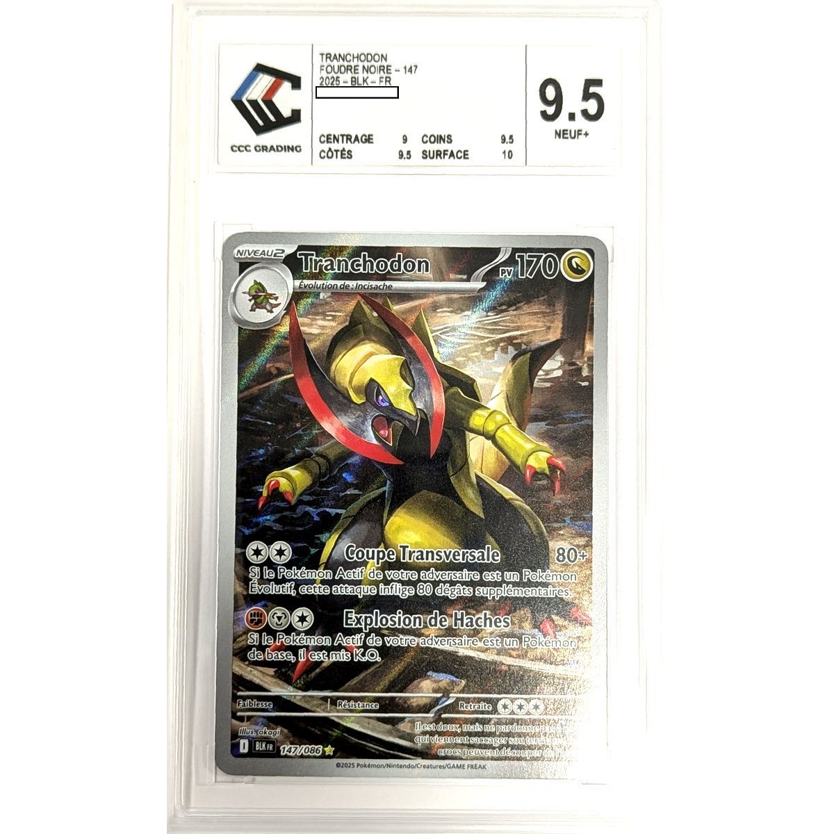 [CCC 9.5 - Neun+] - Bewertete Karte - Haxorus 147/086 - Scarlet & Purple: Black Lightning - 2025 - Pokémon - Französisch