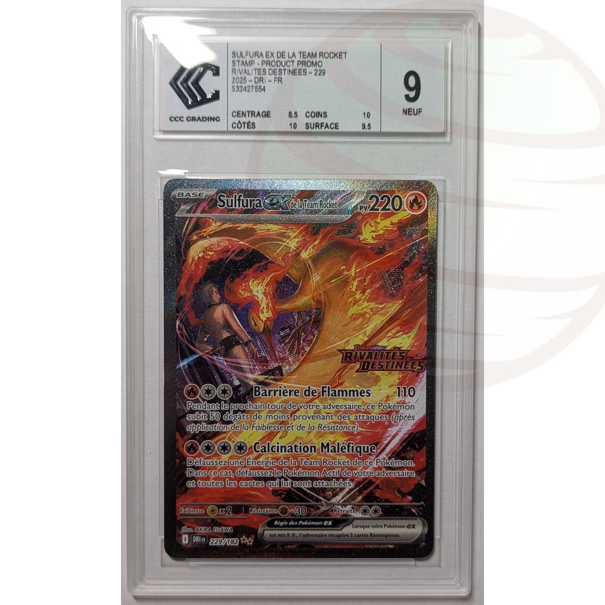 [CCC 9 - Neu] - Bewertete Karte - Moltres ex von Team Rocket 229/182 - E&V Destiny Rivalries Promo - 2025 - Pokémon - Französisch
