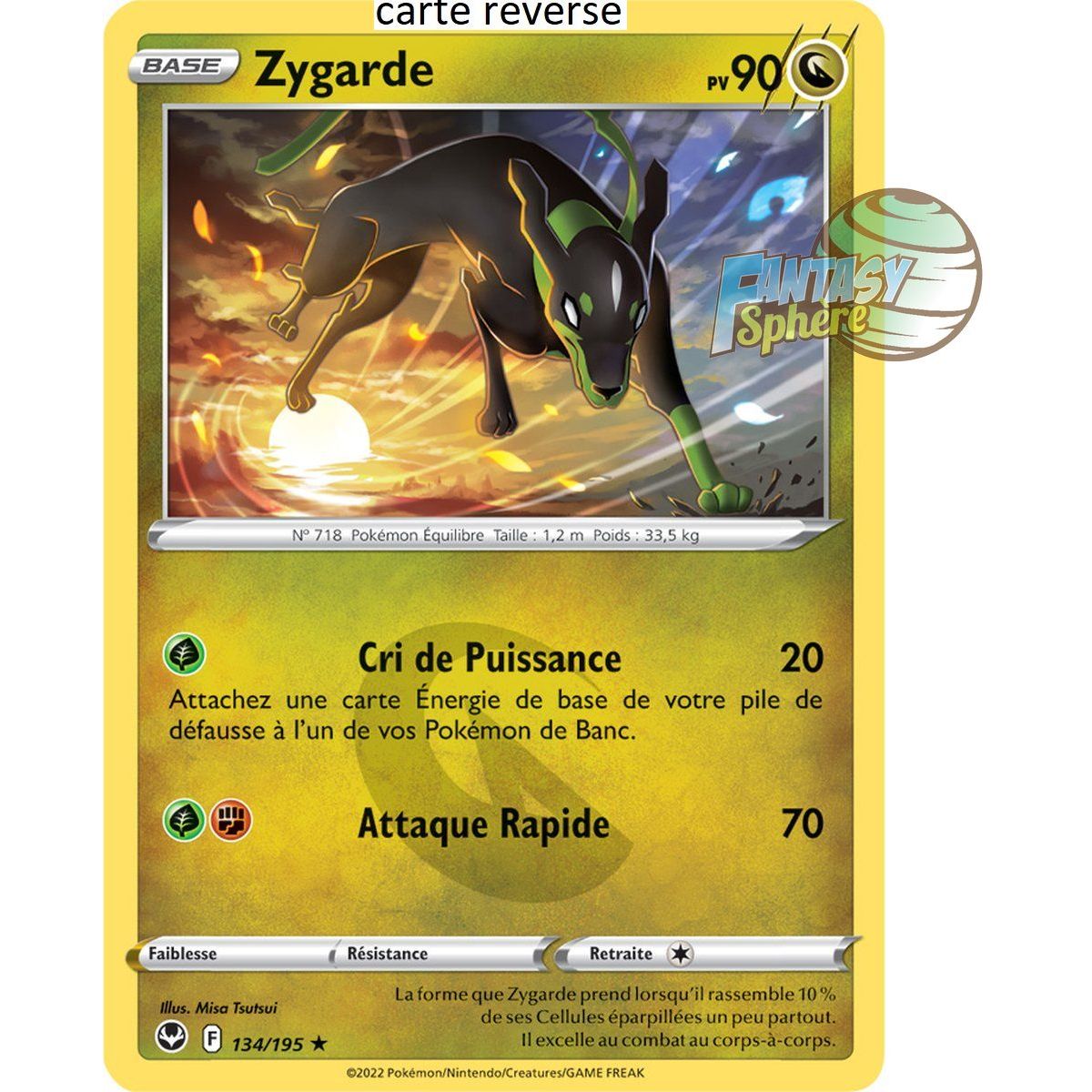 Item Zygarde – Rückseite 134/195 – Schwert und Schild 12 Silver Storm