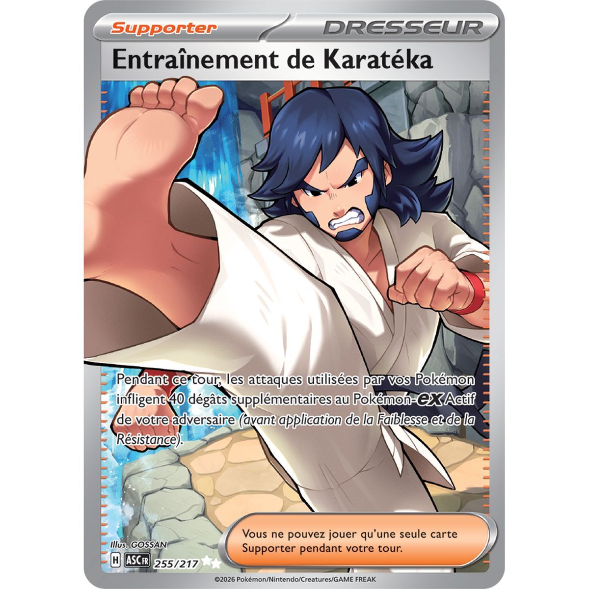 Karate-Training – Ultra Rare 255/217 – ME02.5 – Pokémon – Mega-Entwicklung: Transzendente Helden