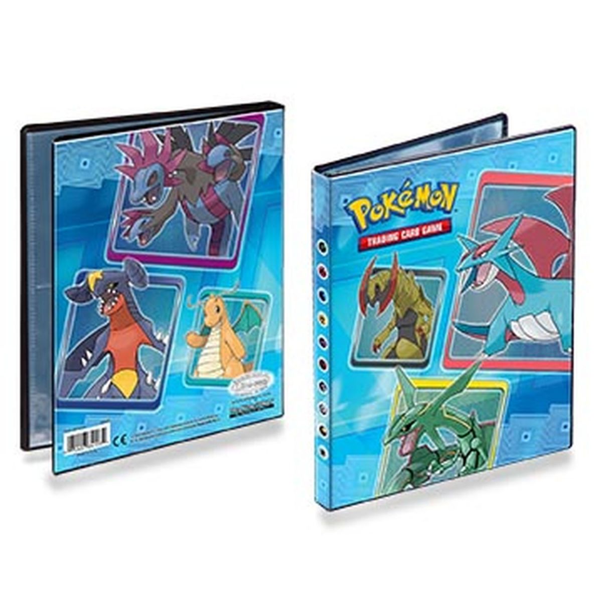 Portfolio – Pokémon – Rayquaza – Dragonite – 80 Standorte