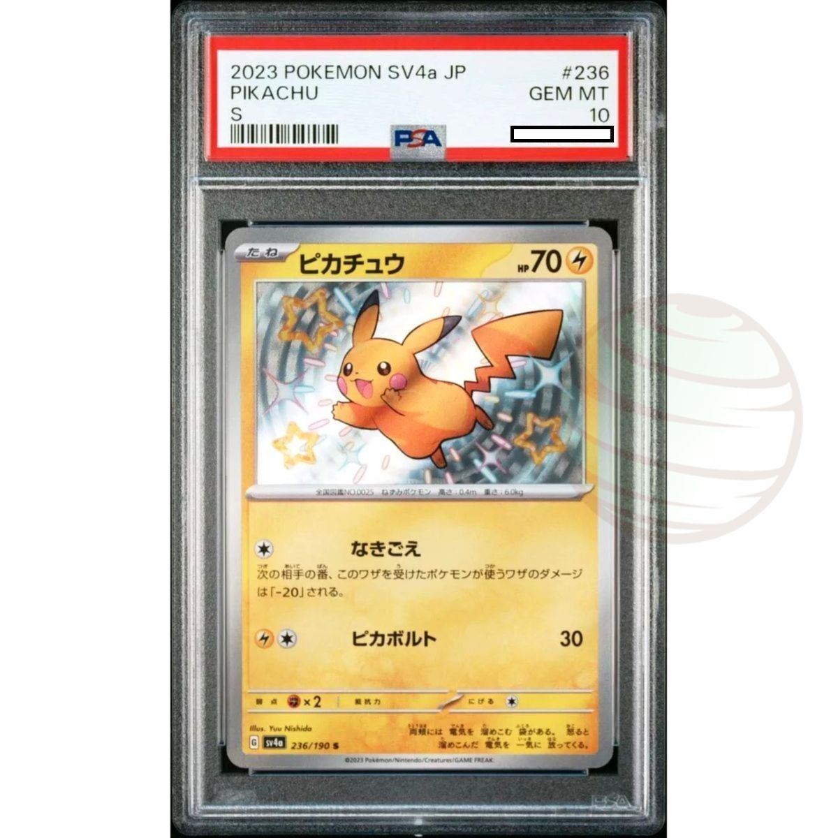 [PSA 10 – Gem Mint] – Bewertungskarte – Pikachu 236/190 SV4A – 2023 – Pokémon – Japanisch