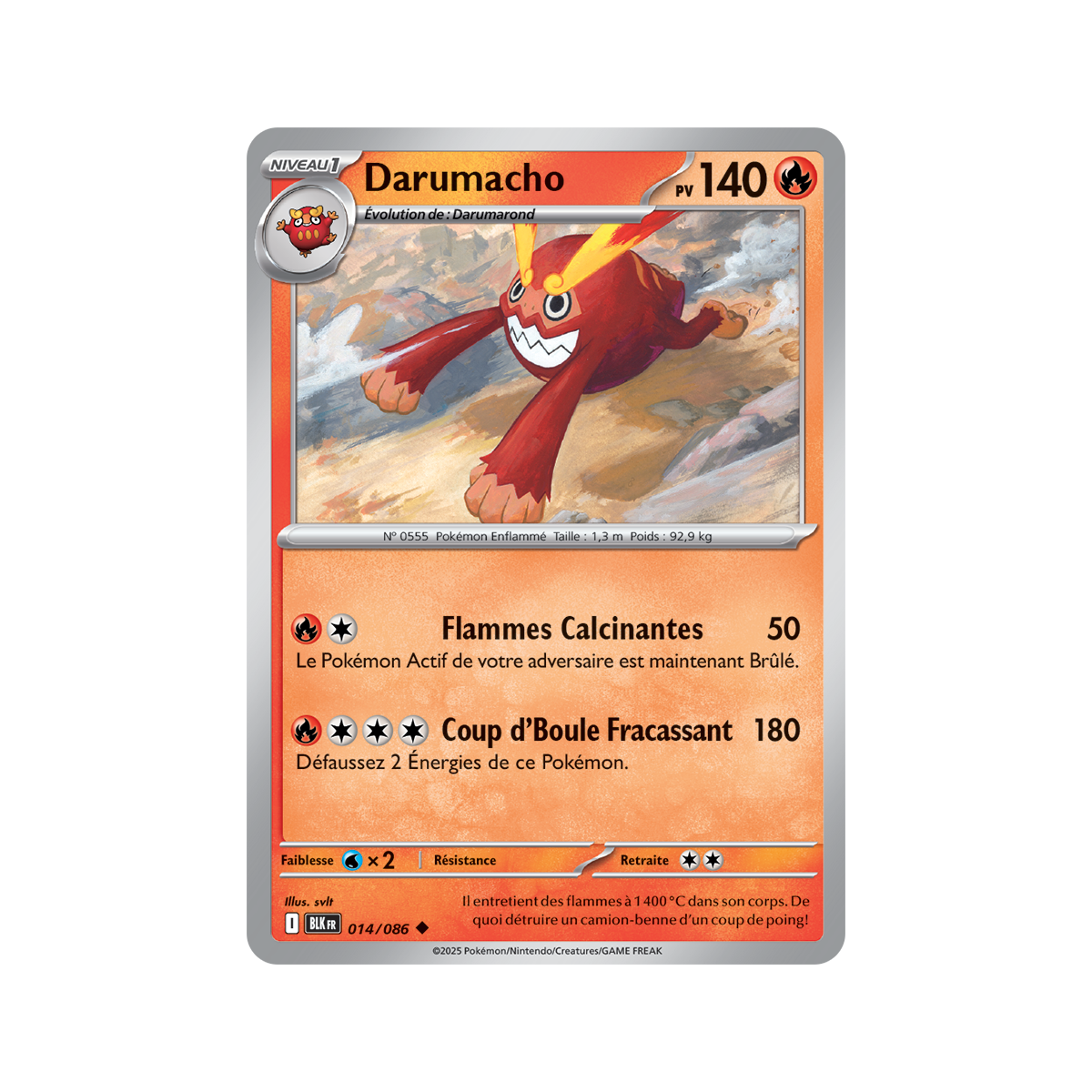 Darumacho – Rückseite 14/86 – Scharlachrot und Lila 10,5 Schwarzer Blitz