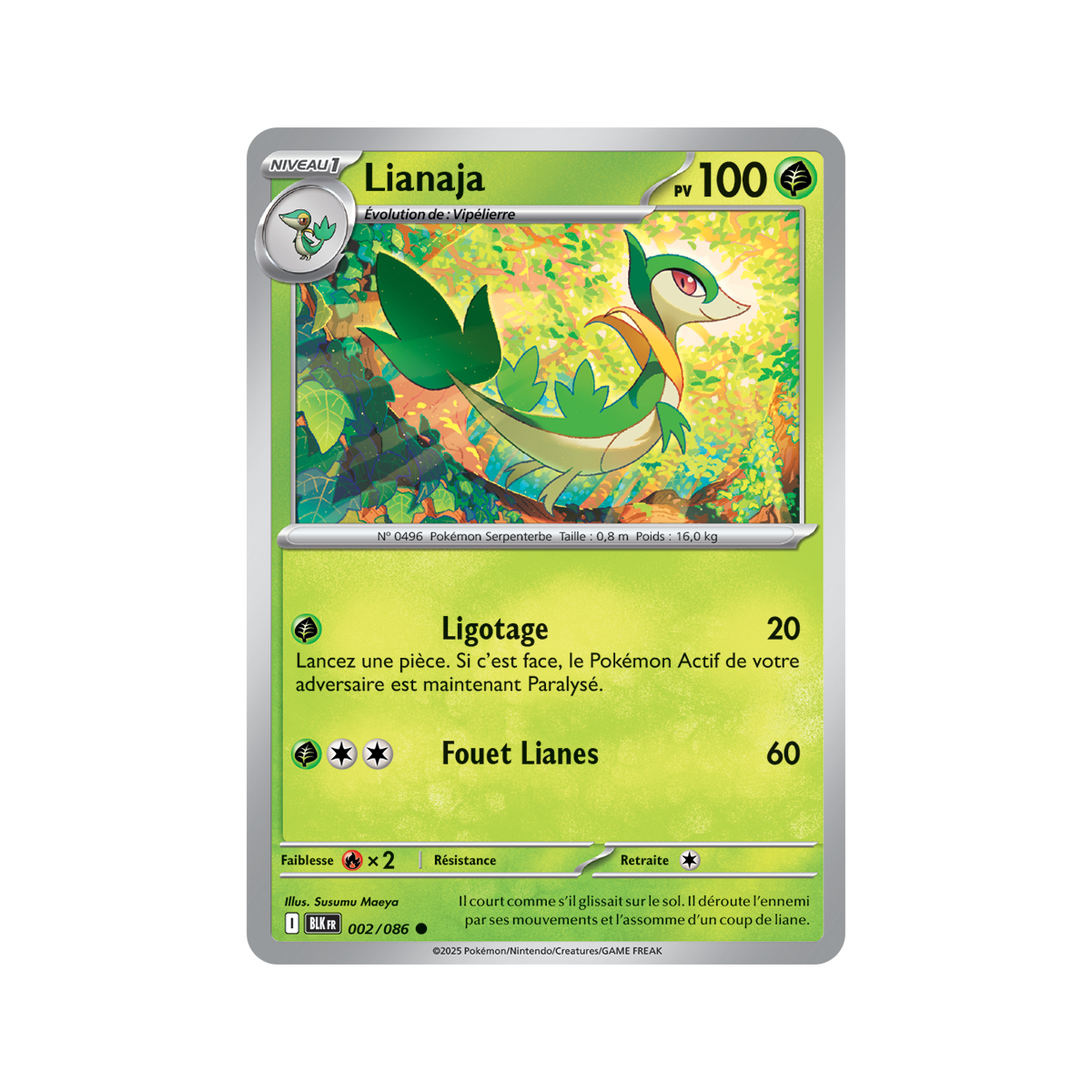 Lianaja – Rückseite 2/86 – Scharlachrot und Lila 10,5 Black Lightning