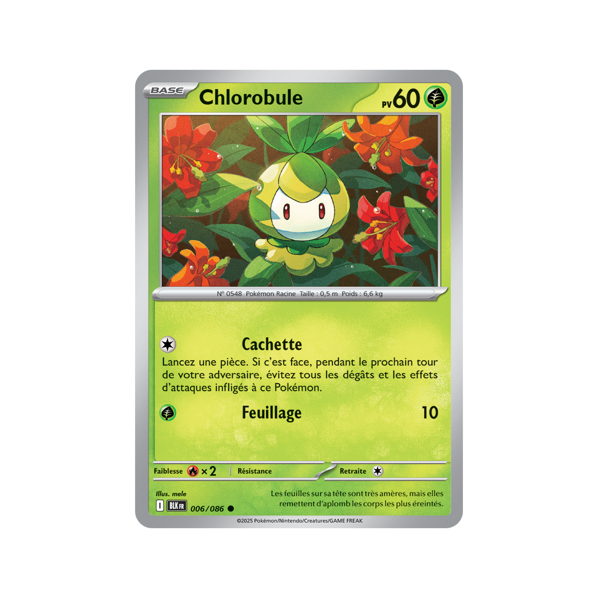 Chlorobule – Common 6/86 – Scharlachrot und Lila 10,5 Black Lightning