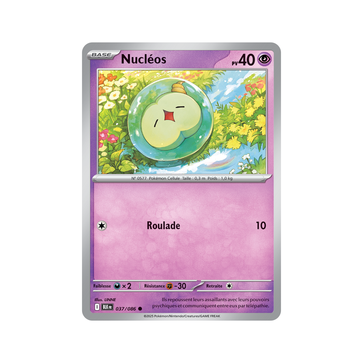 Nucleos – Commune 37/86 – Scharlachrot und Lila 10,5 Schwarzer Blitz