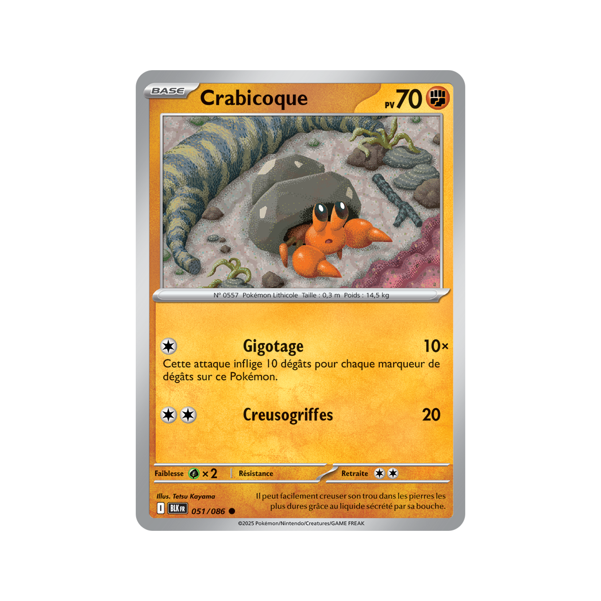 Crabicoque – Common 51/86 – Scharlachrot und Lila 10,5 Black Lightning