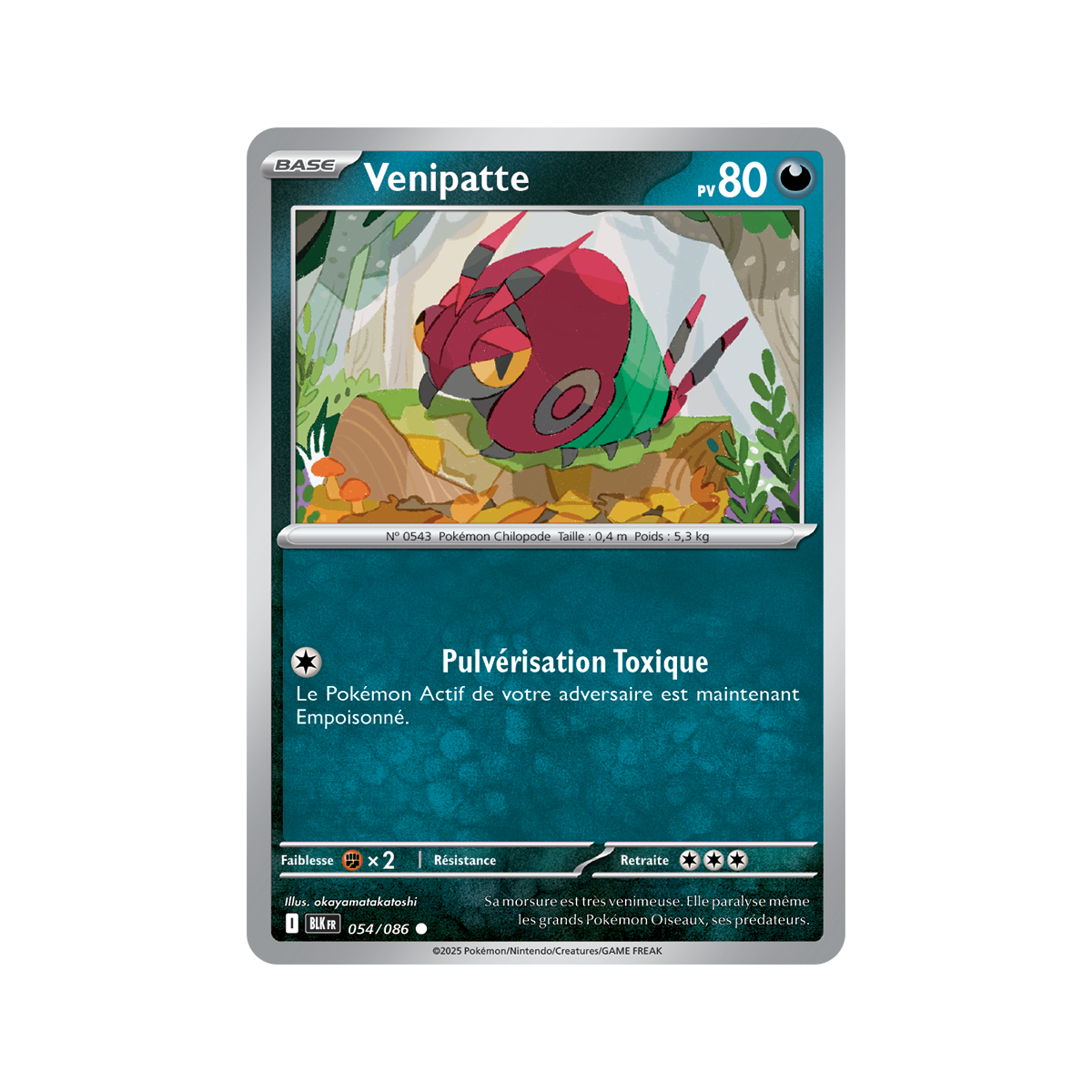 Venipatte – Common 54/86 – Scharlachrot und Lila 10,5 Black Lightning