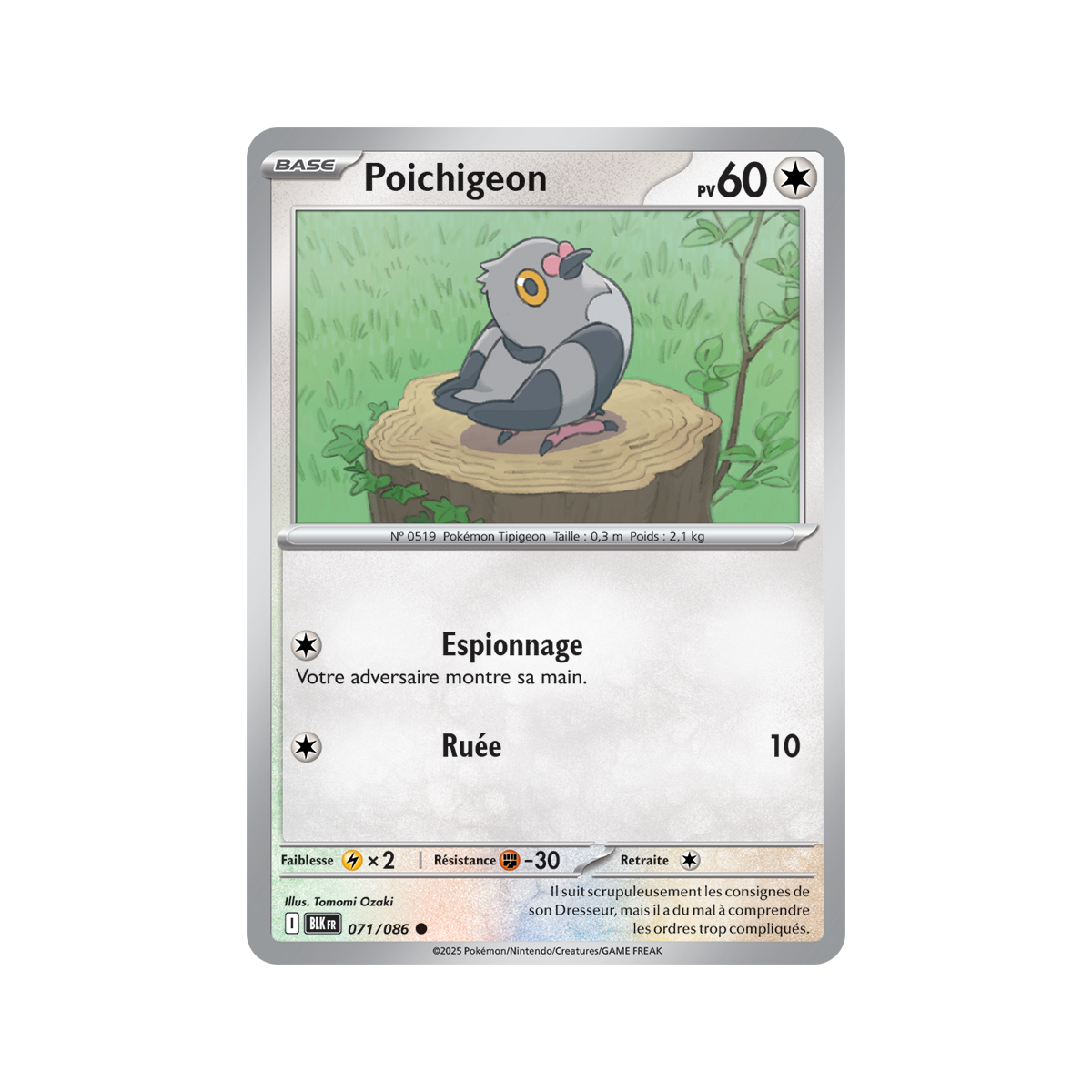 Poichigeon – Common 71/86 – Scharlachrot und Lila 10,5 Black Lightning