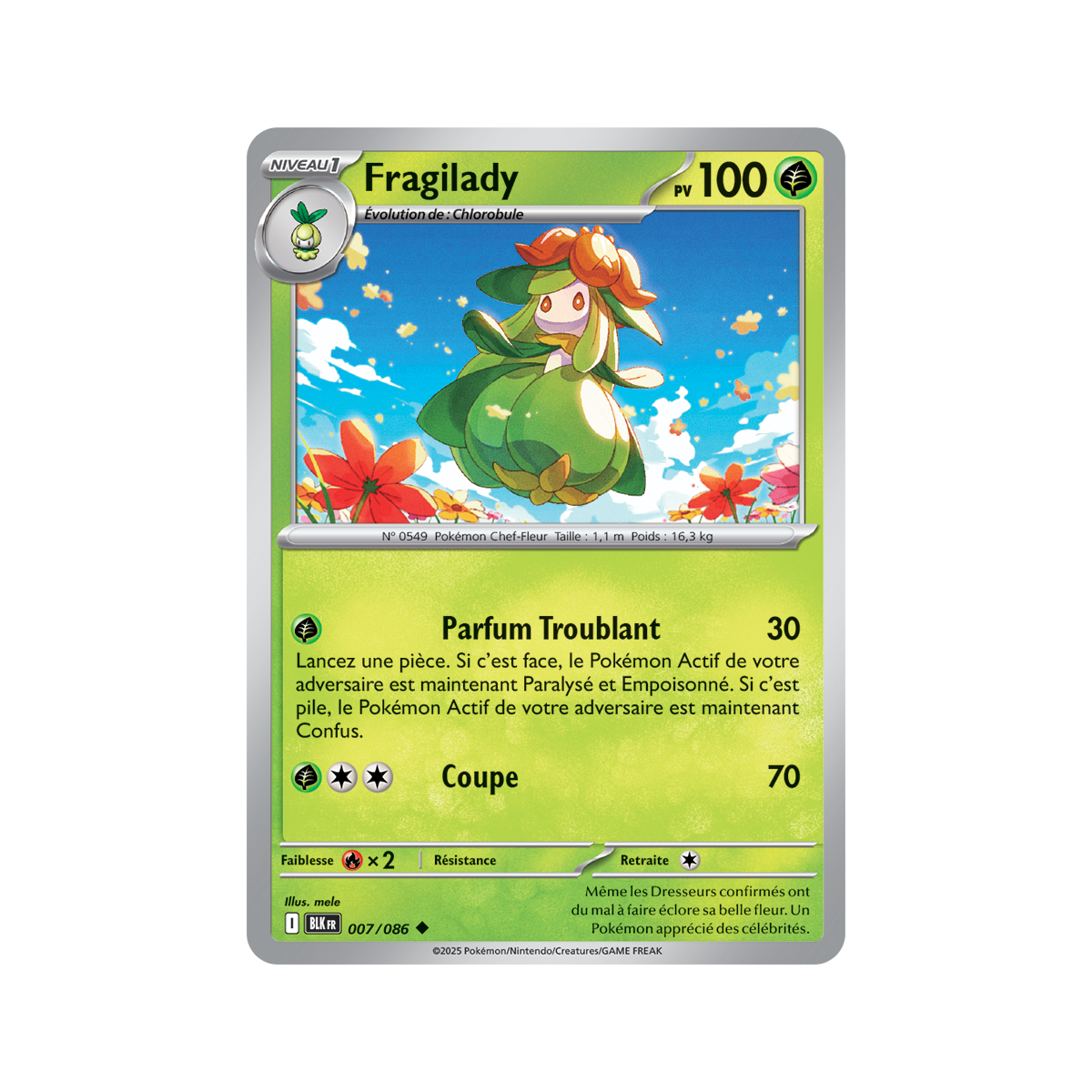 Fragilady – Reverse Masterball 7/86 – Scharlachrot und Lila 10,5 Black Lightning
