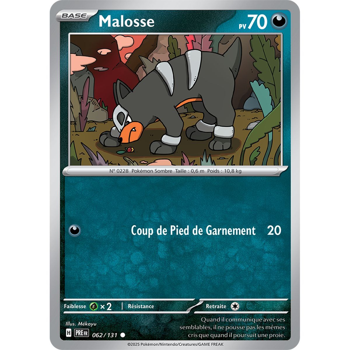 Malosse – Rückseite 62/131 – Scharlachrot und Lila 8,5 Prisma-Entwicklungen