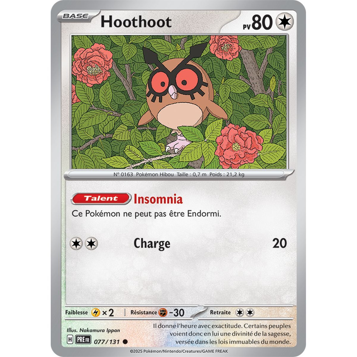 Hoothoot – Rückseite 77/131 – Scharlachrot und Lila 8,5 Prisma-Entwicklungen