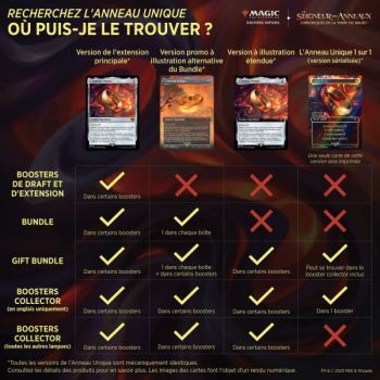 Magic The Gathering – Packung mit 6 Boostern – Sammler – Der Herr der Ringe: Chroniken von Mittelerde – DE