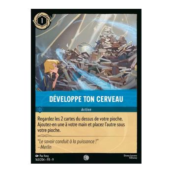 Item Entwickle dein Gehirn – 163/204 – FAB – Fabelhaft – Brillant – Premium – Französisch