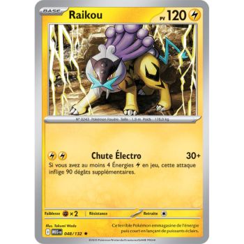 Item Raikou – Holo Rare 48/132 – Mega Evolution