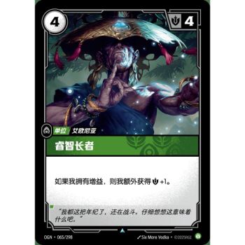 Item Weiser Ältester – Ungewöhnlich 065/298 – OGN – Rifbound TCG (Chinesisch)
